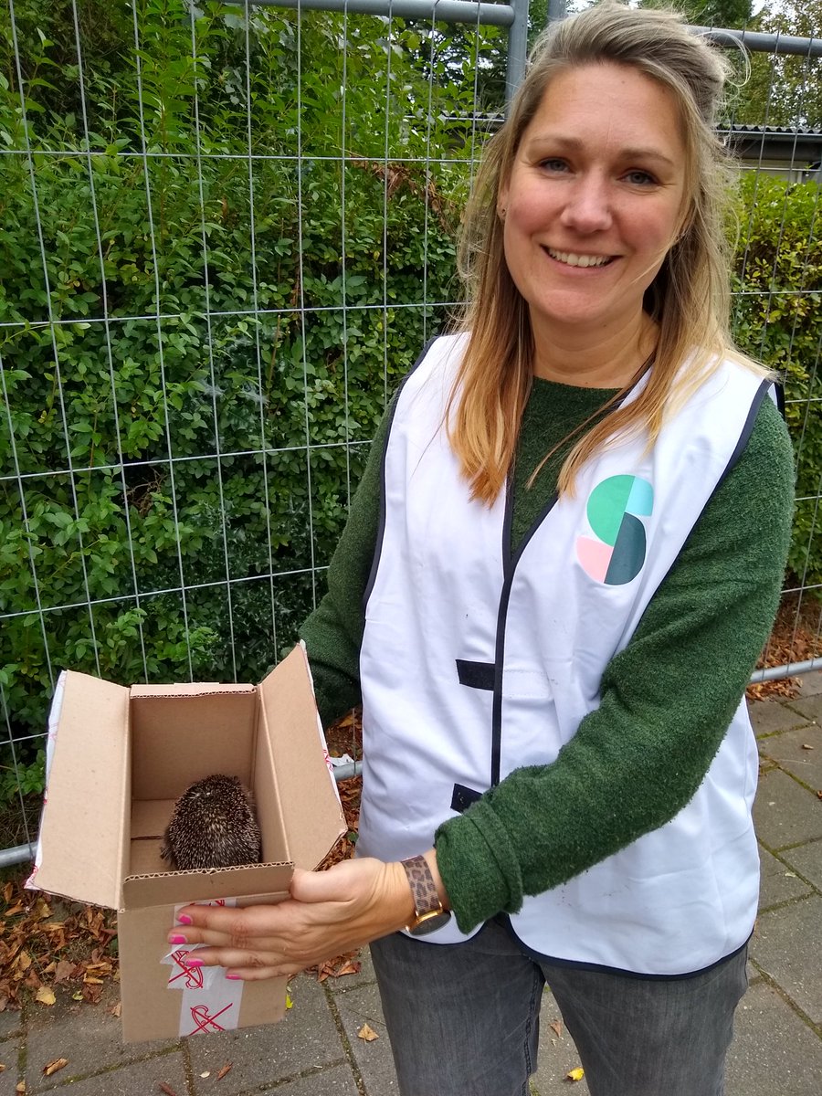 En als bonus hebben we ook nog een egel weten te redden! Met dank aan het Vogelasiel Tilburg voor de opvang <a href="/BerniceKamphuis/">Bernice Kamphuis</a>