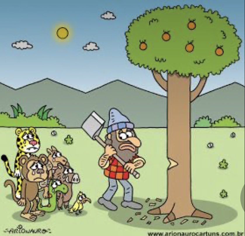 Maawiah's tweet image. #TreesForOurPlanet