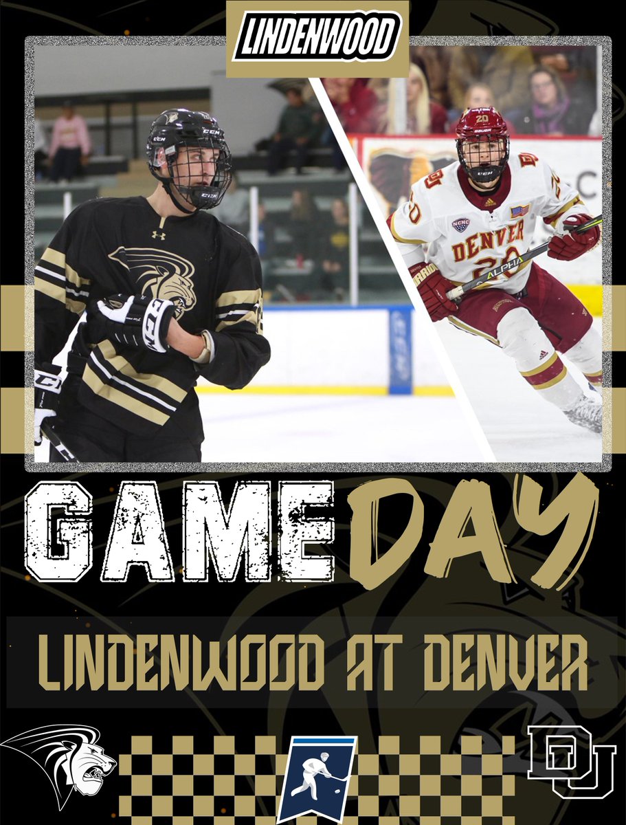 LU Hockey ACHA tweet media