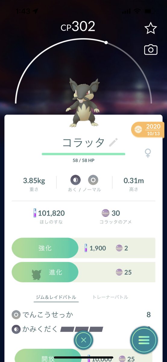 ポケモンgo コラッタの入手方法 能力 技まとめ 攻略大百科