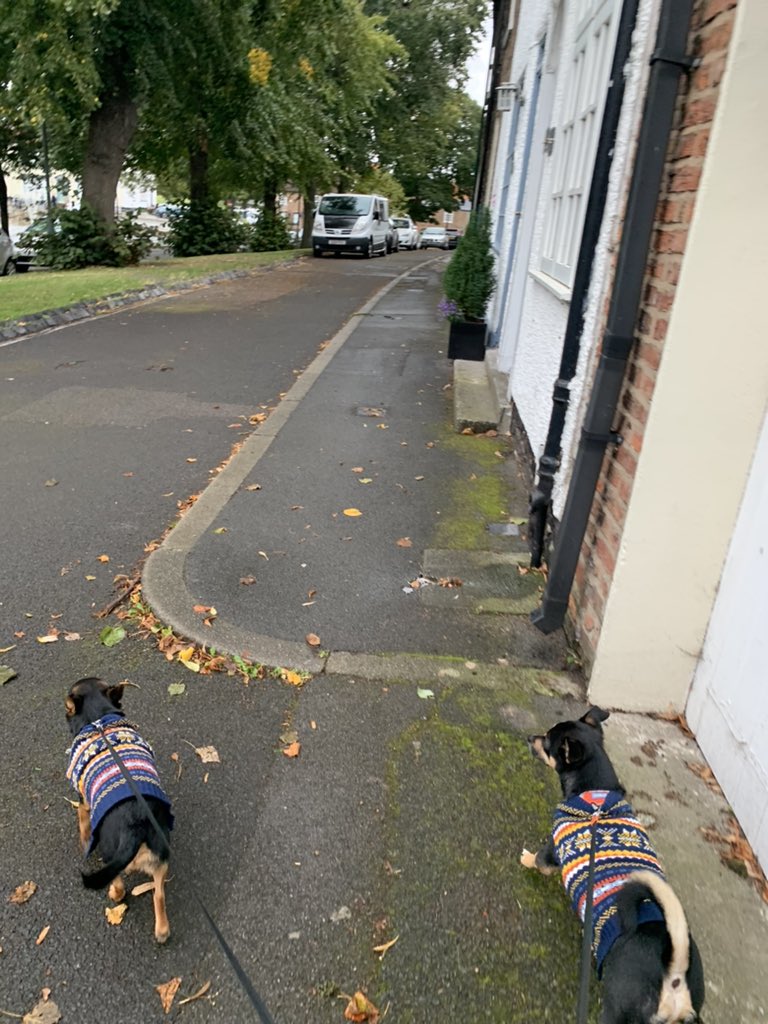 Hayls_H's tweet photo. Autumn 🍂 = jumper season https://t.co/yfQAeAQAgV