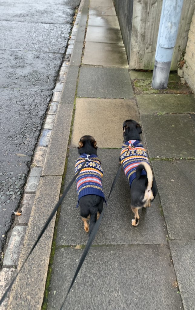 Hayls_H's tweet photo. Autumn 🍂 = jumper season https://t.co/yfQAeAQAgV