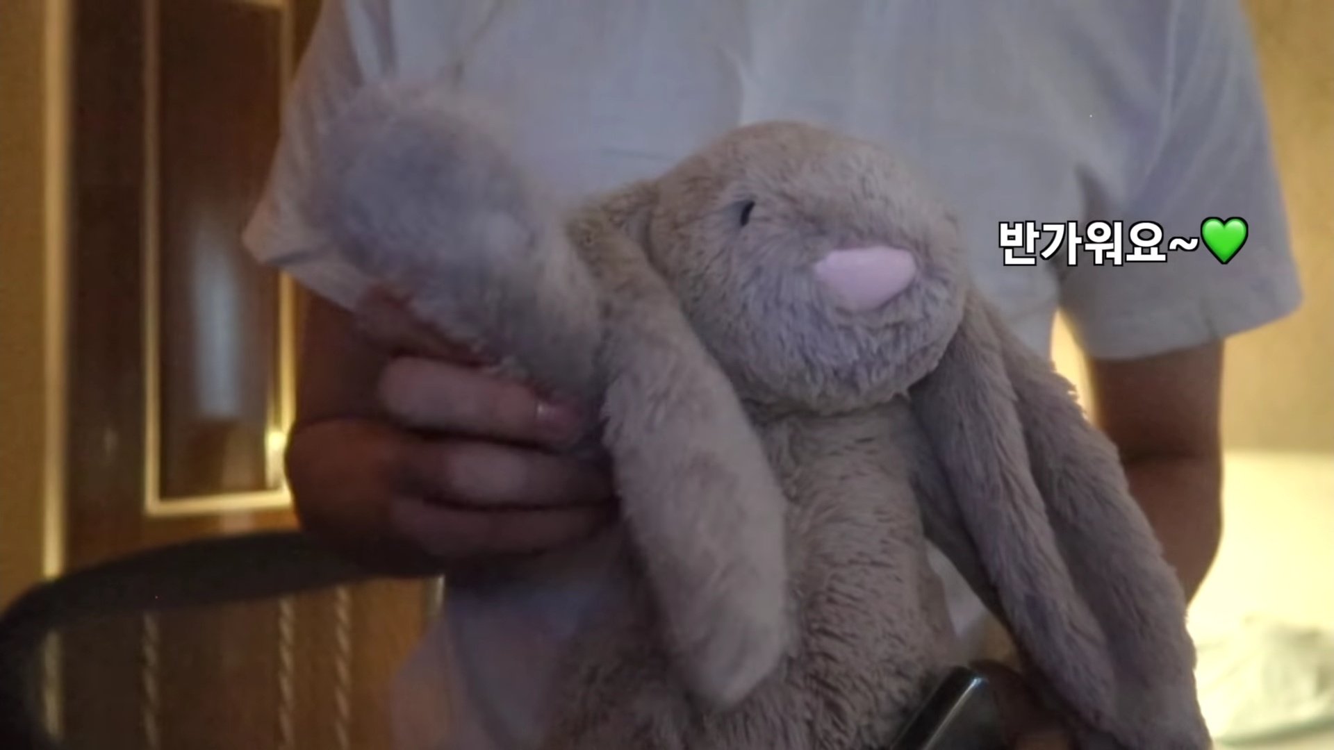 ジェミン ぬいぐるみ 10cm nct dream うさぎ ウサギ