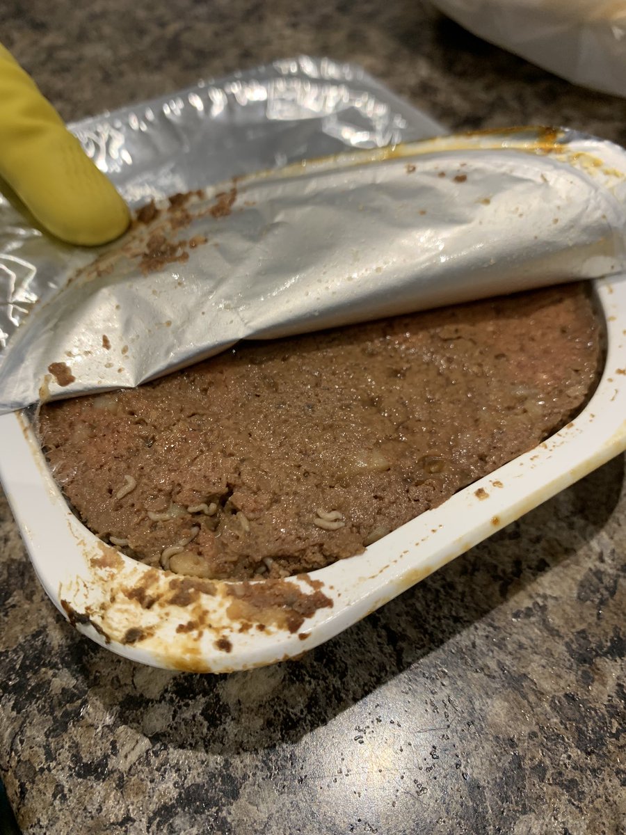 hollyjackson523's tweet photo. Went to my local @Tesco to buy some @naturopetfood yesterday. Opened a pouch of it this morning to find maggots crawling around 🤢🤮 absolutely disgusting 🤢 https://t.co/qcKrYaRrOW