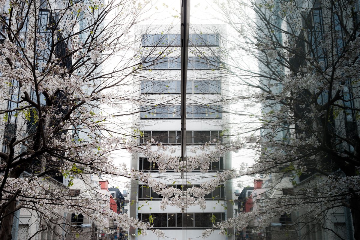 Archillect tweet media