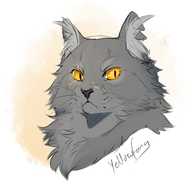 WolfHearts tweet media