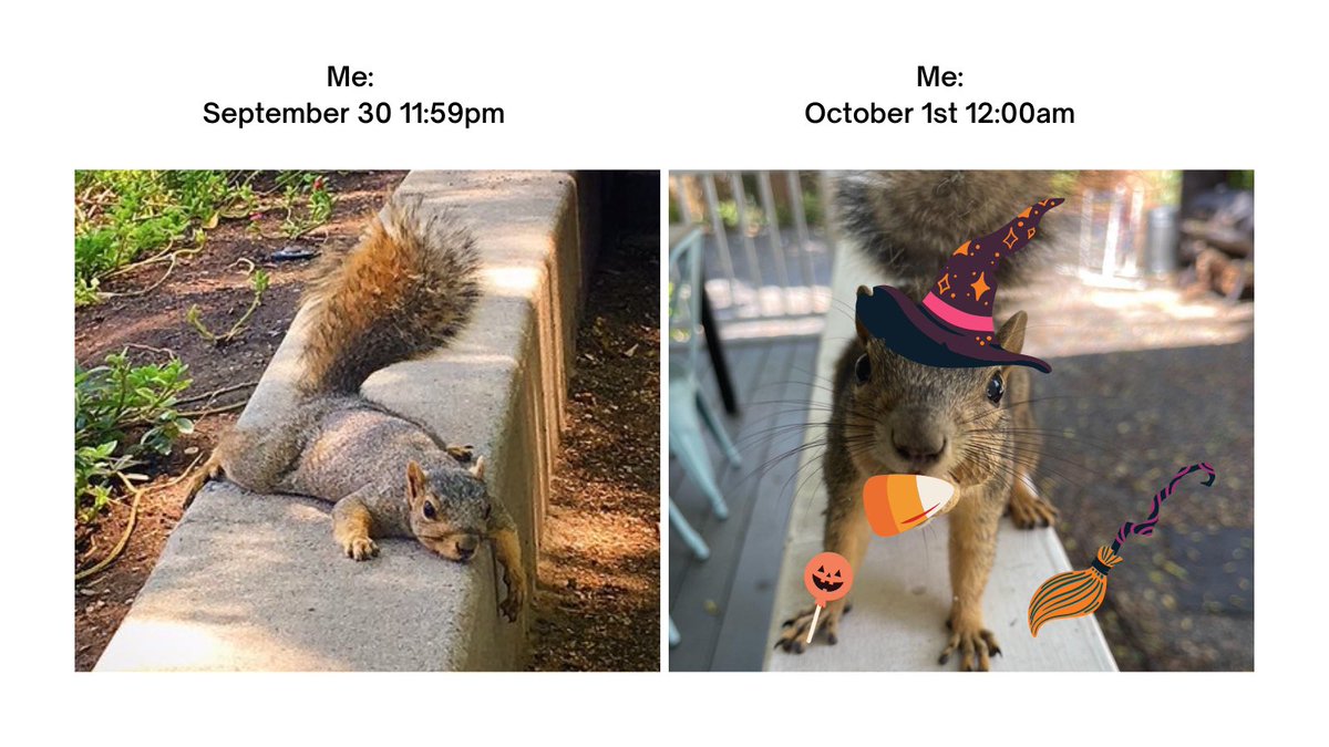 EscoxSteph's tweet photo. It's me, I'm Fresno State squirrel. #ADPRDogs #FresnoStateSquirrels #FallReady https://t.co/PQXzReZI8x
