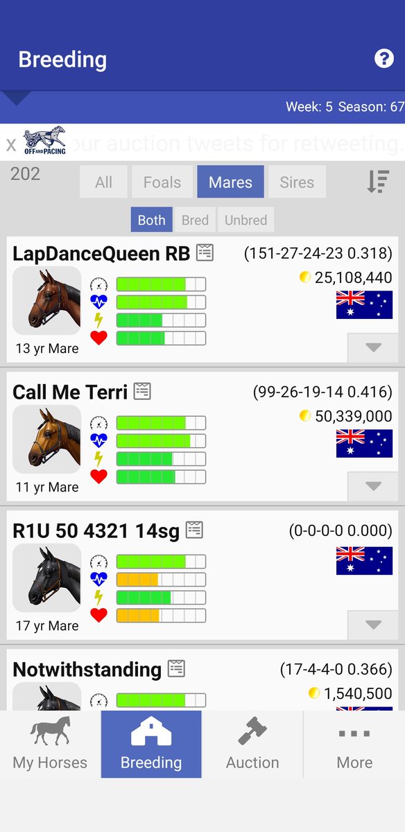 dontcareter's tweet photo. Anyone intrest in these quad and double quad broodmares message me...plz retweet https://t.co/YxzQjFydKM