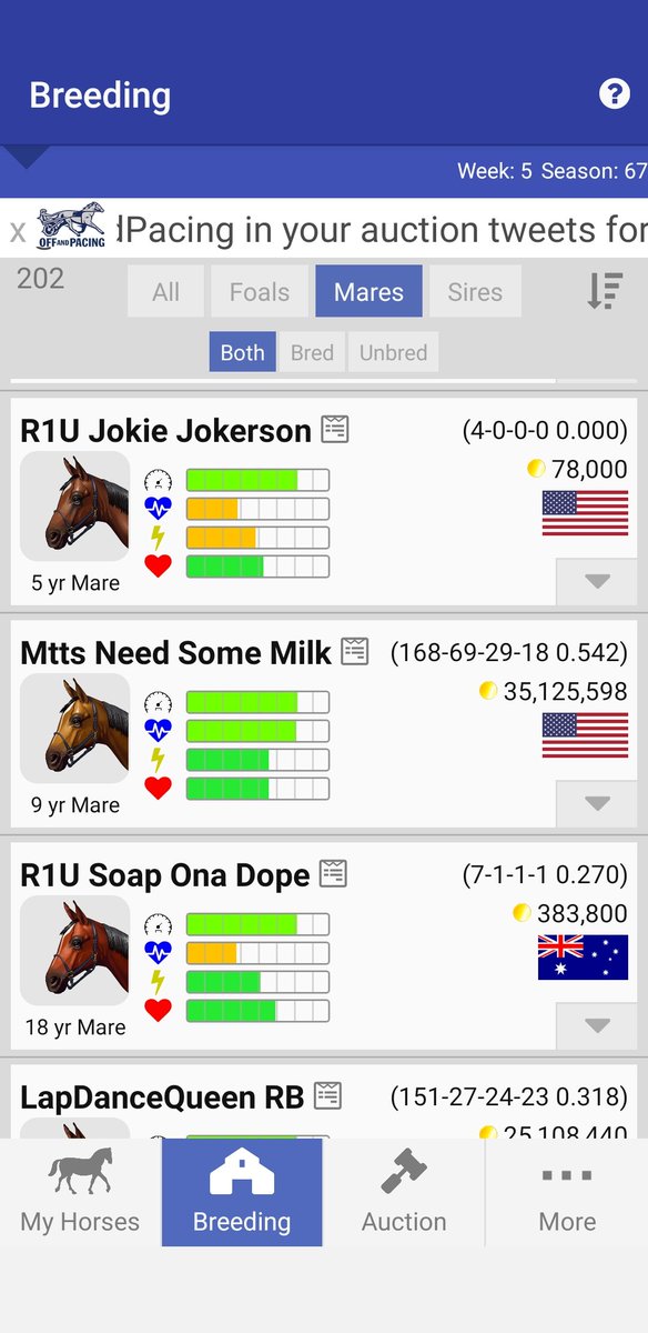dontcareter's tweet photo. Anyone intrest in these quad and double quad broodmares message me...plz retweet https://t.co/YxzQjFydKM