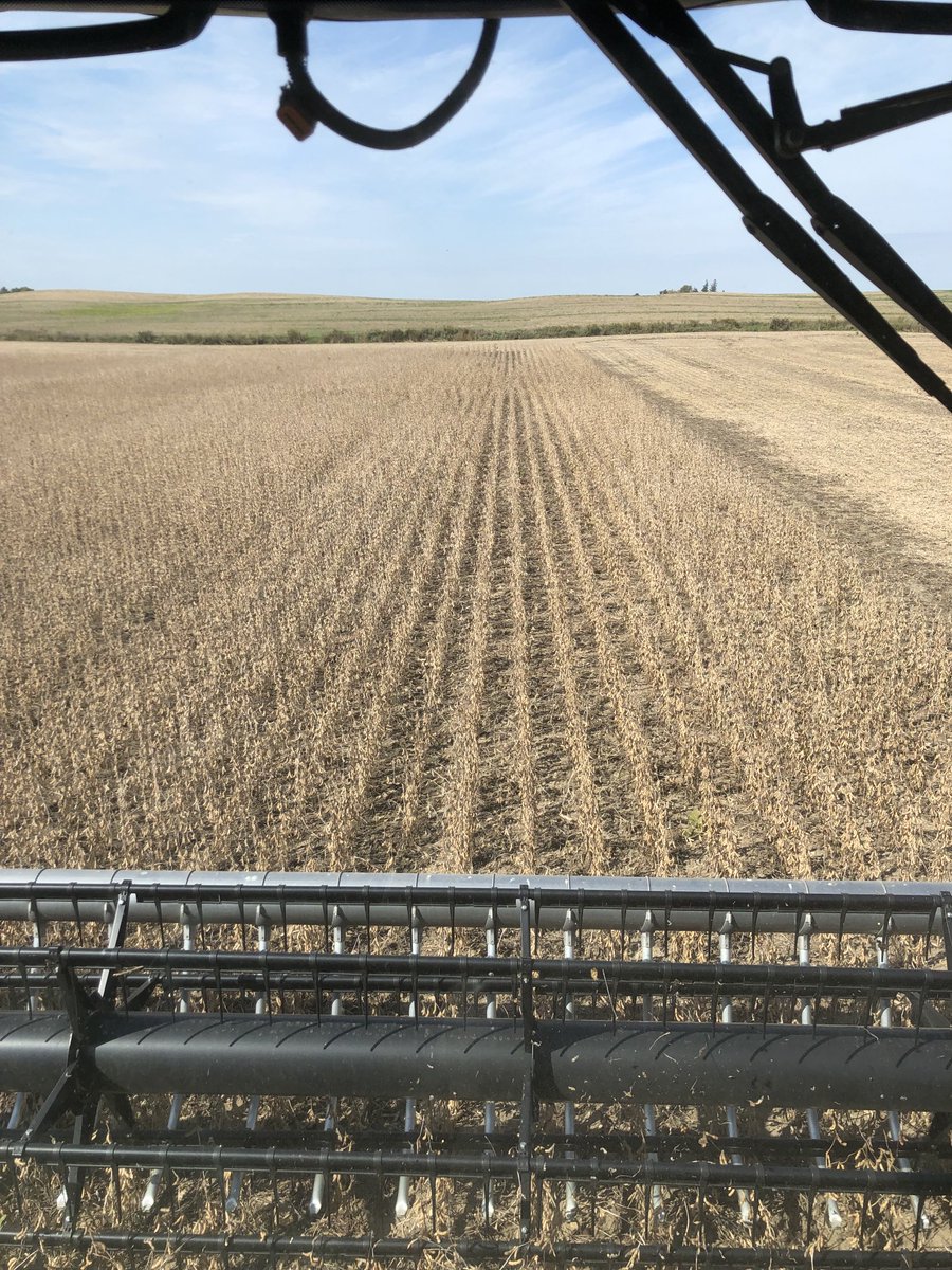 Beauty day to do beans ⁦<a href="/ottograins/">Kevin Otto</a>⁩