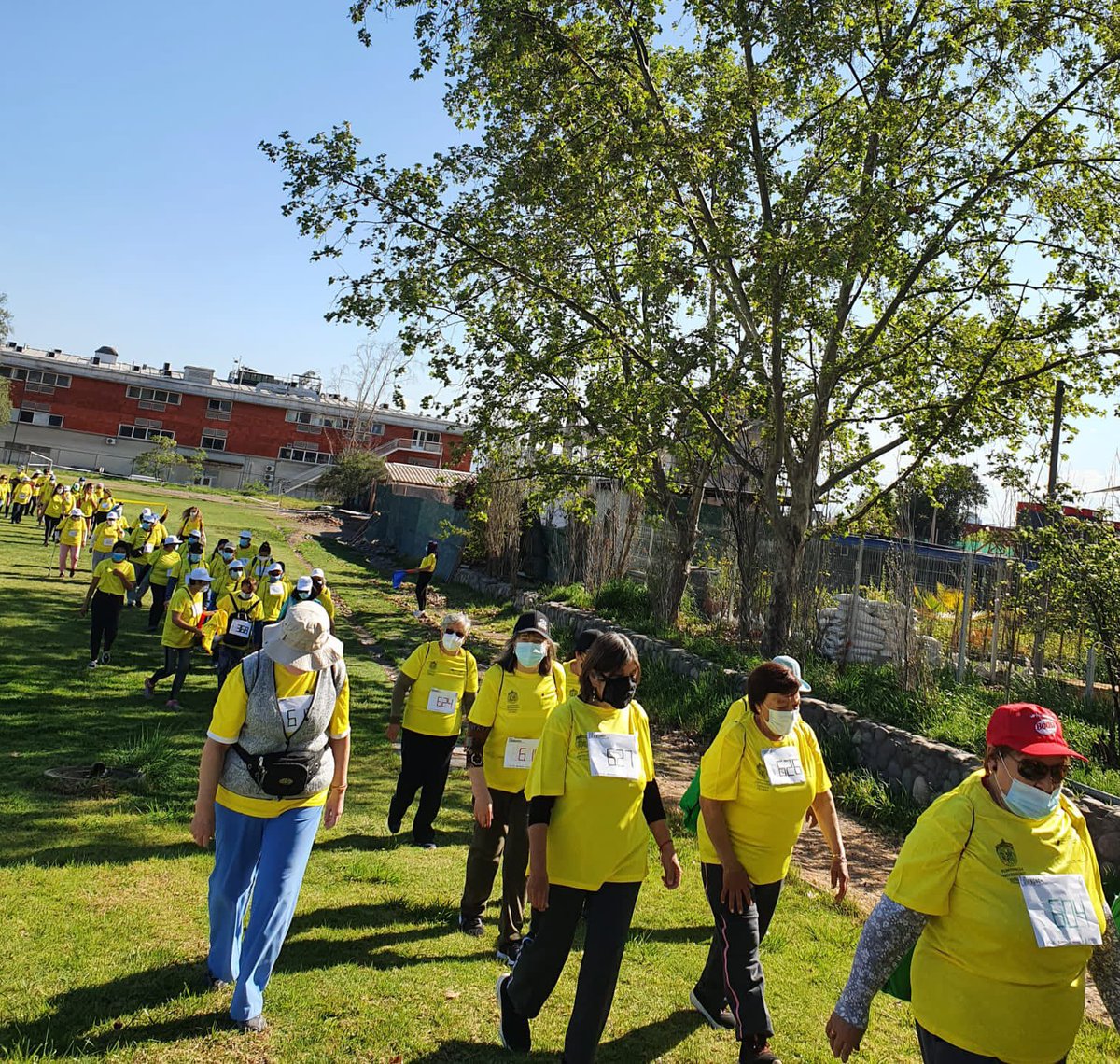 MuniPenaflor's tweet photo. ✅ 🌞 Les dejamos hermosas imágenes de de #Camina60 actividad deportiva donde participaron 46 personas del Programa Más Adultos Mayores Autovalentes, Cesfam Peñaflor, en el Campus San Joaquin de la UC🚶🏽🚶🏼🚶🏼‍♀️
Felicitaciones por representar a #Peñaflor con tanta alegría y energía https://t.co/VDDJZPe9B2