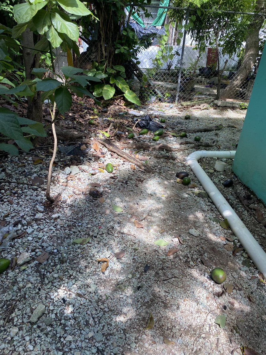 Uncle Smoov ♟ tweet media