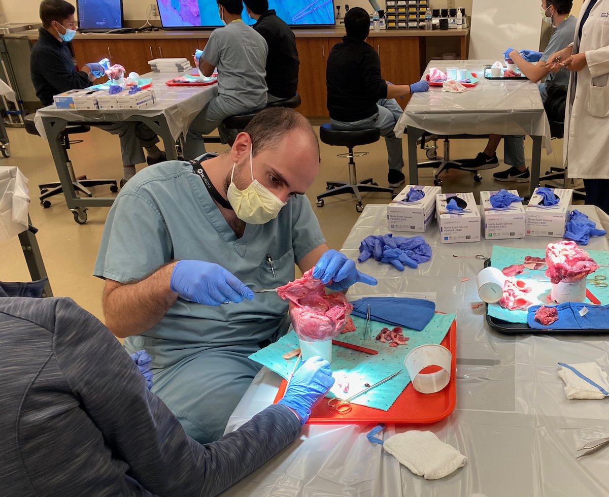 moiz_hafiz's tweet photo. Very pleased to have held our first porcine heart dissection event under central IL fellows forum #CIFF for cardiology fellows @siusom and @UICOMPeoria @  surgical skills lab @ChooseMemorial taught by @DouglasShookMD from @BrighamWomens. @avolgman @SrihariNaiduMD Thanks everyone! https://t.co/rT3MB0O6iL