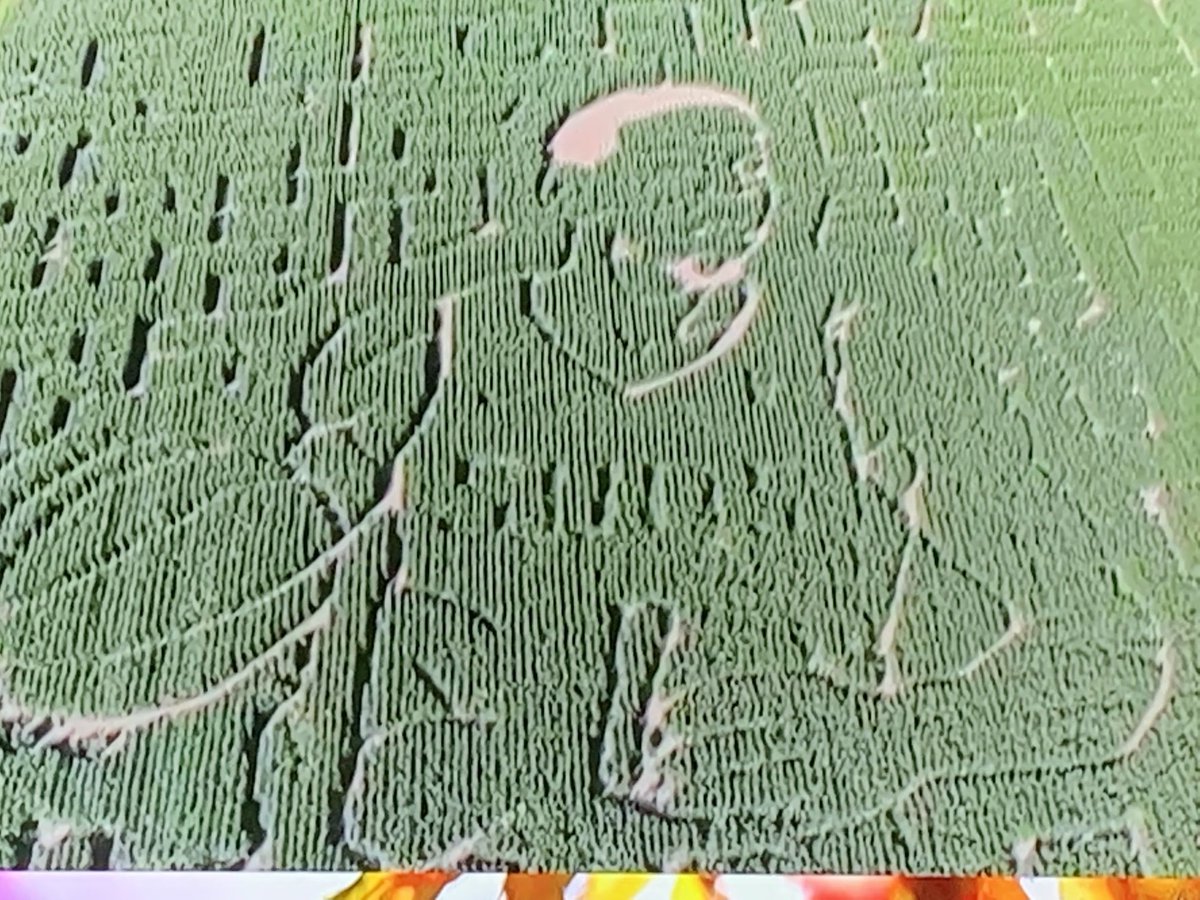 GregMillsTVNews's tweet photo. Phoenix Suns star &amp; Olympian Devin Booker honored…w a maze at #SchnepfFarms. #UniqueHonor ⁦@DevinBook⁩ ⁦@Suns⁩ (from: ⁦@azfamily⁩) https://t.co/wDAW09Mo2z