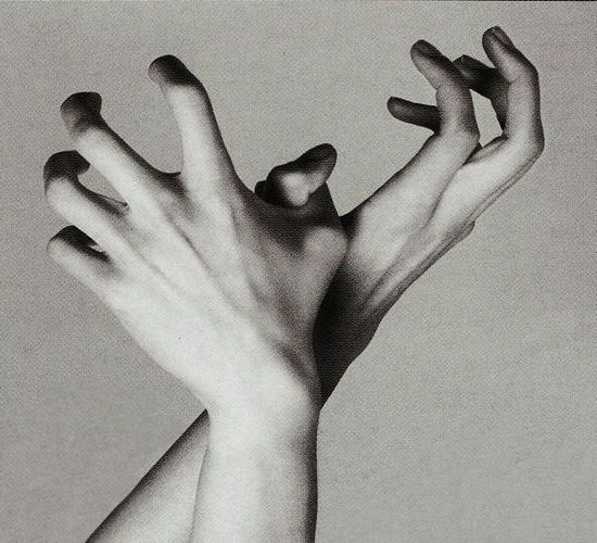 Archillect tweet media