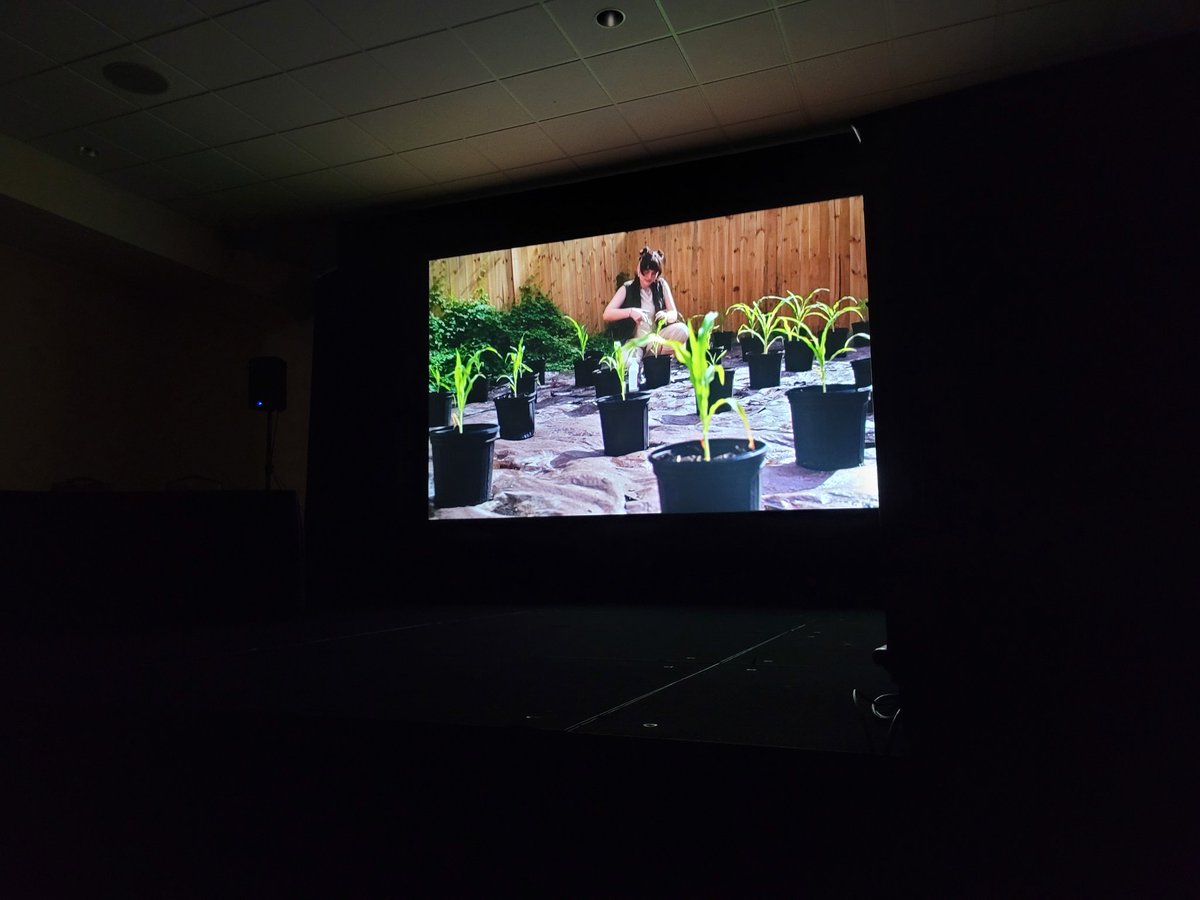 WickedWindowPro's tweet photo. @fantasmorlando Creature Feature Competition winning films are being shown right now at Suwannee 17! Join us for Q&amp;A! https://t.co/QTYKXgF8E2