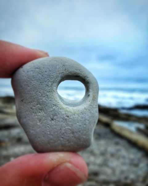 LosOsosBaywood's tweet photo. Joy - it's all in your perspective...
.
.
.
images by @thebucket.kicker
#VisitLosOsosBaywood #SpoonersCove #MontanadeOro #Hwy1HiddenSecrets #WildlyRelaxing #MDO #CCSPA #CaliforniaBeaches https://t.co/eshTwd4cnk