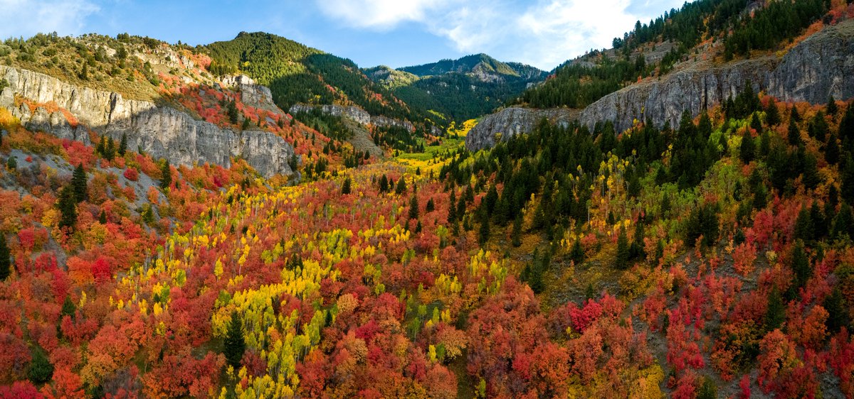 Andrew Diamond tweet media