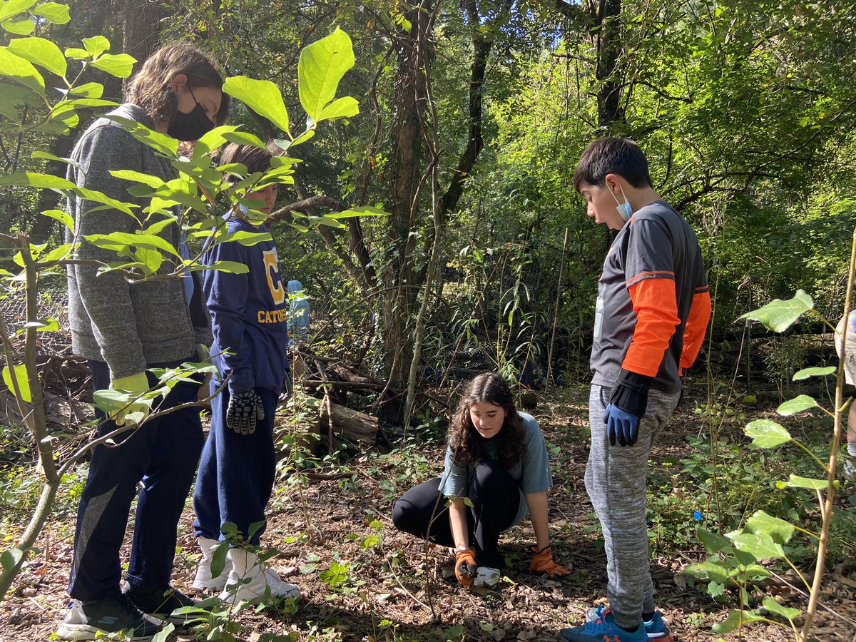 The Center Baltimore tweet media