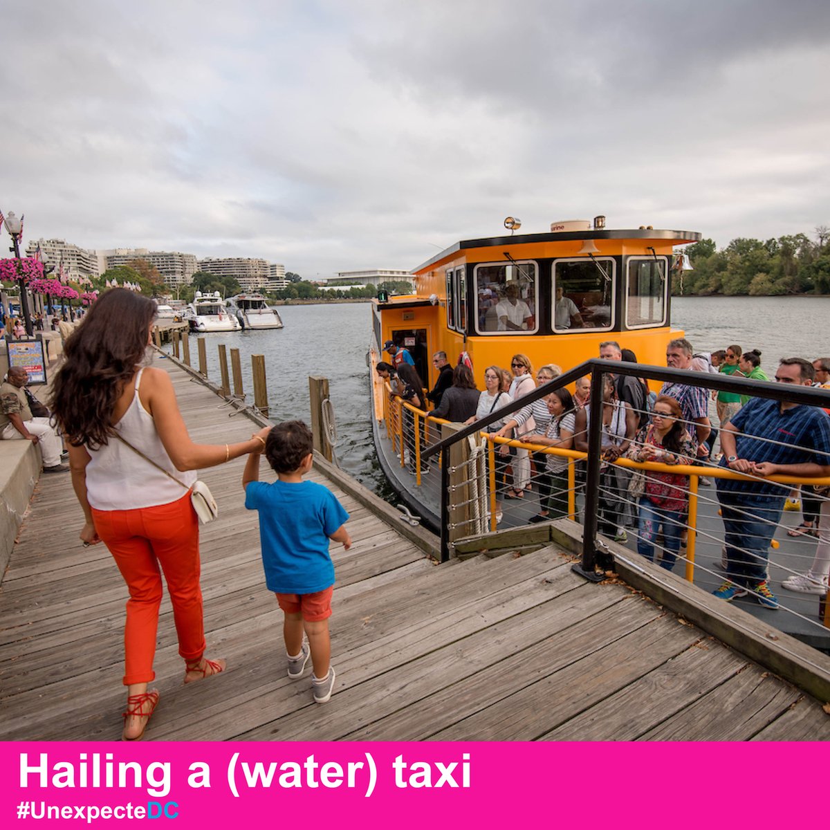 georgetowndc's tweet photo. Why walk, bike or drive when you can travel via the Potomac?! ⛴️
The Potomac Riverboat Company offers a scenic mode of travel with a water taxi that connects @TheWharfDC with #GeorgetownDC.
Discover more #UnexpecteDC experiences via: https://t.co/D8sTcBmOGG https://t.co/3tWWQbwxnh