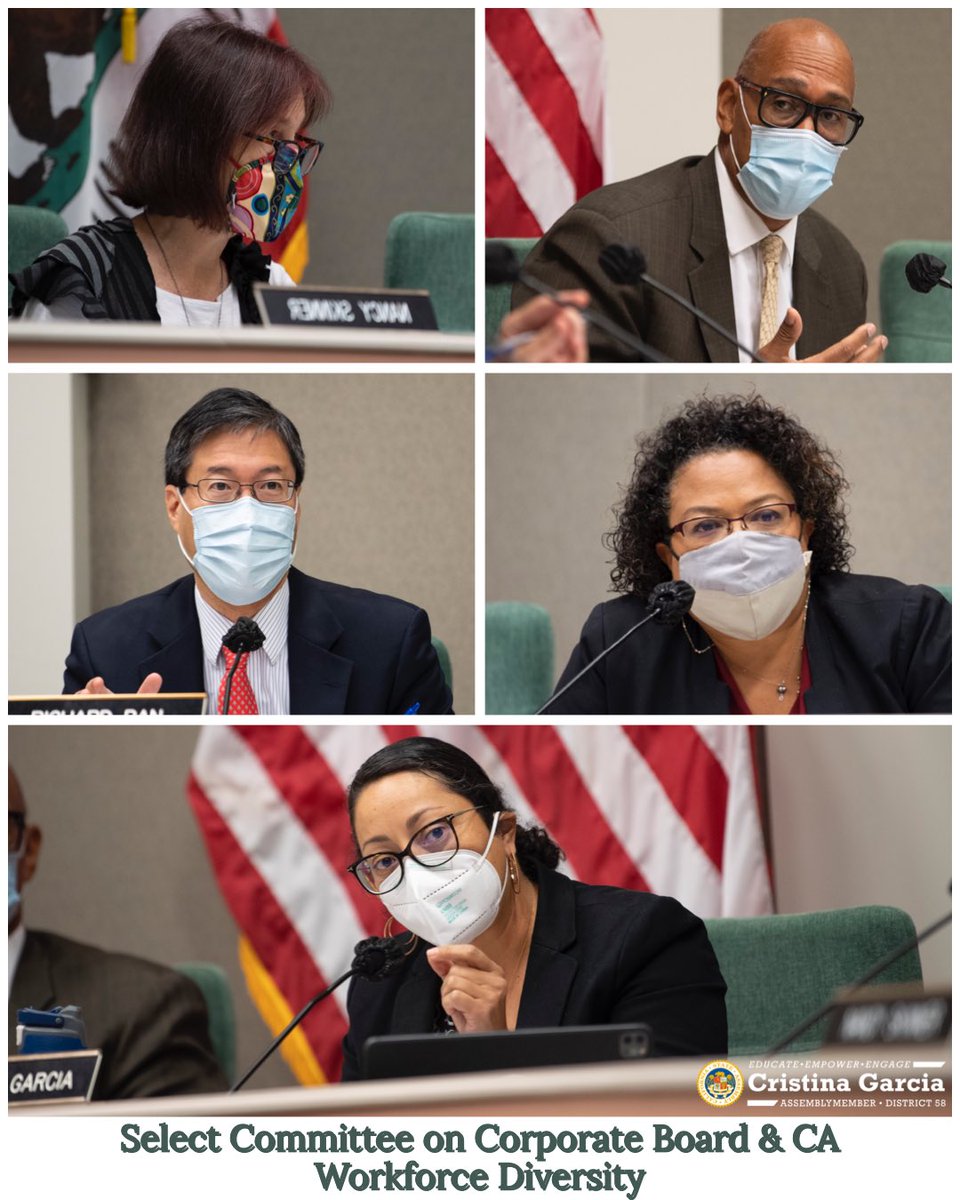 AsmGarcia's tweet photo. Our info hearing yesterday shed light on the impacts #SB826 &amp; #AB979 are having to increase #CorpDiversity on boards &amp; made it clear corporations need to work faster &amp; be more transparent w/ their board &amp; employer demographic data to provide #Opportunity4All https://t.co/nToQxltjQr