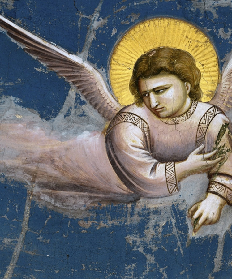 carolyn_ra's tweet photo. Angel of God my guardian dear to whom God’s love commits me here. Ever this night be at my side, to light and guard, to rule and guide. Amen #Compline #EveningPrayer https://t.co/k2lluAY14v