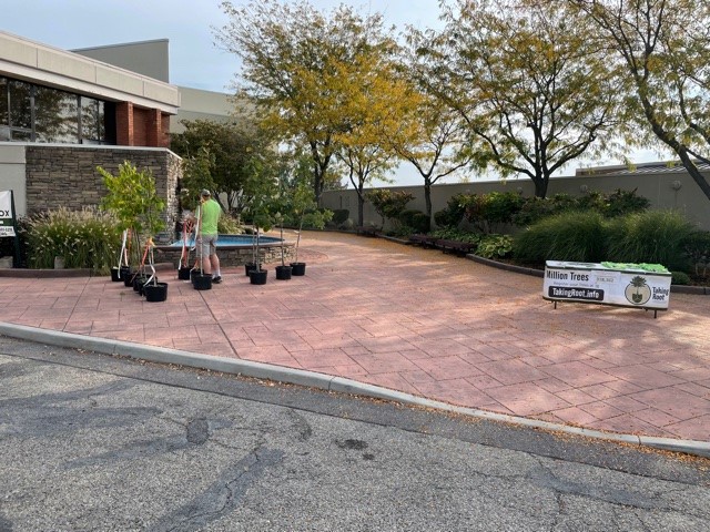 Taking Root tweet media