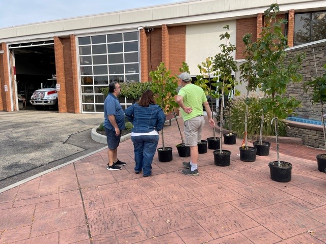 Taking Root tweet media