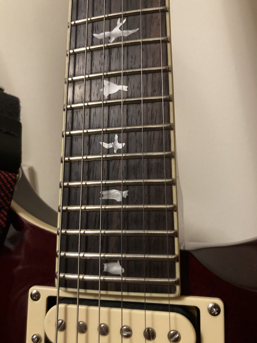 Day6Forest's tweet photo. I bought an electric guitar the other day🥺 https://t.co/8NJWo9Pr7b
