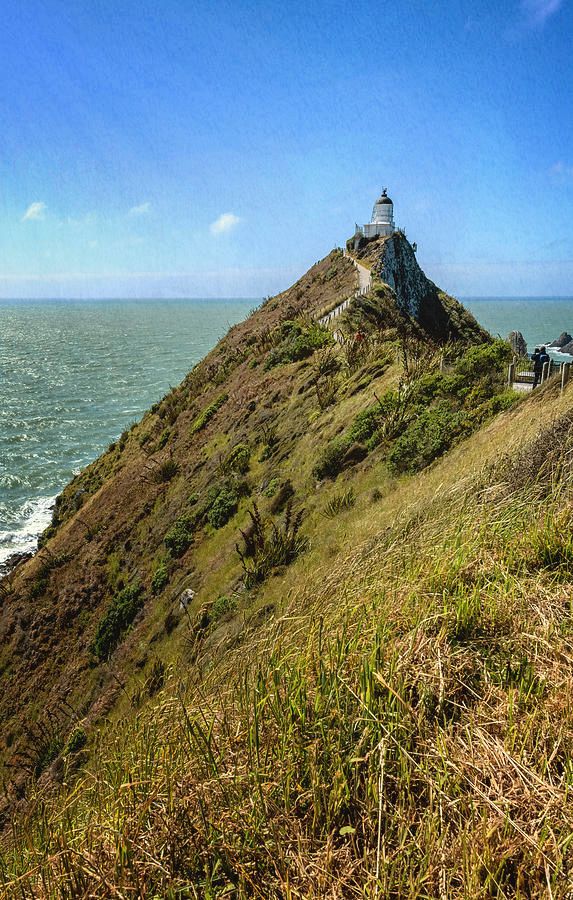 joancarroll's tweet photo. Nugget Point Lighthouse New Zealand https://t.co/XStmHm2wtt #NewZealand #lighthouse #lighthouses #nuggetpoint #seascape #landscape @joancarroll https://t.co/jZ8tMJHY69
