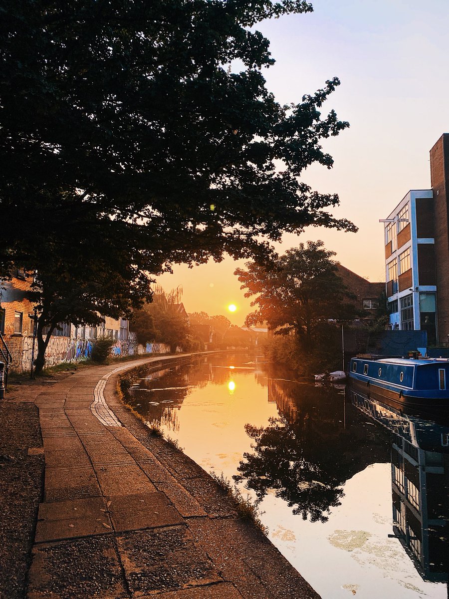 Emma Hopkins tweet media