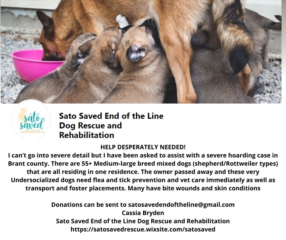 ShiCheverie's tweet photo. HELP NEEDED! SATO SAVED just went on a work call, OPP emergency, a hoarding situation.  One person had died. 60 Shepherd type dogs in one house. Puppies being eaten. Rescuers are in shock.

#satosaved #brantcounty #animalhoarder #vetcare #yourhelpisneeded https://t.co/gS92nkZhgp