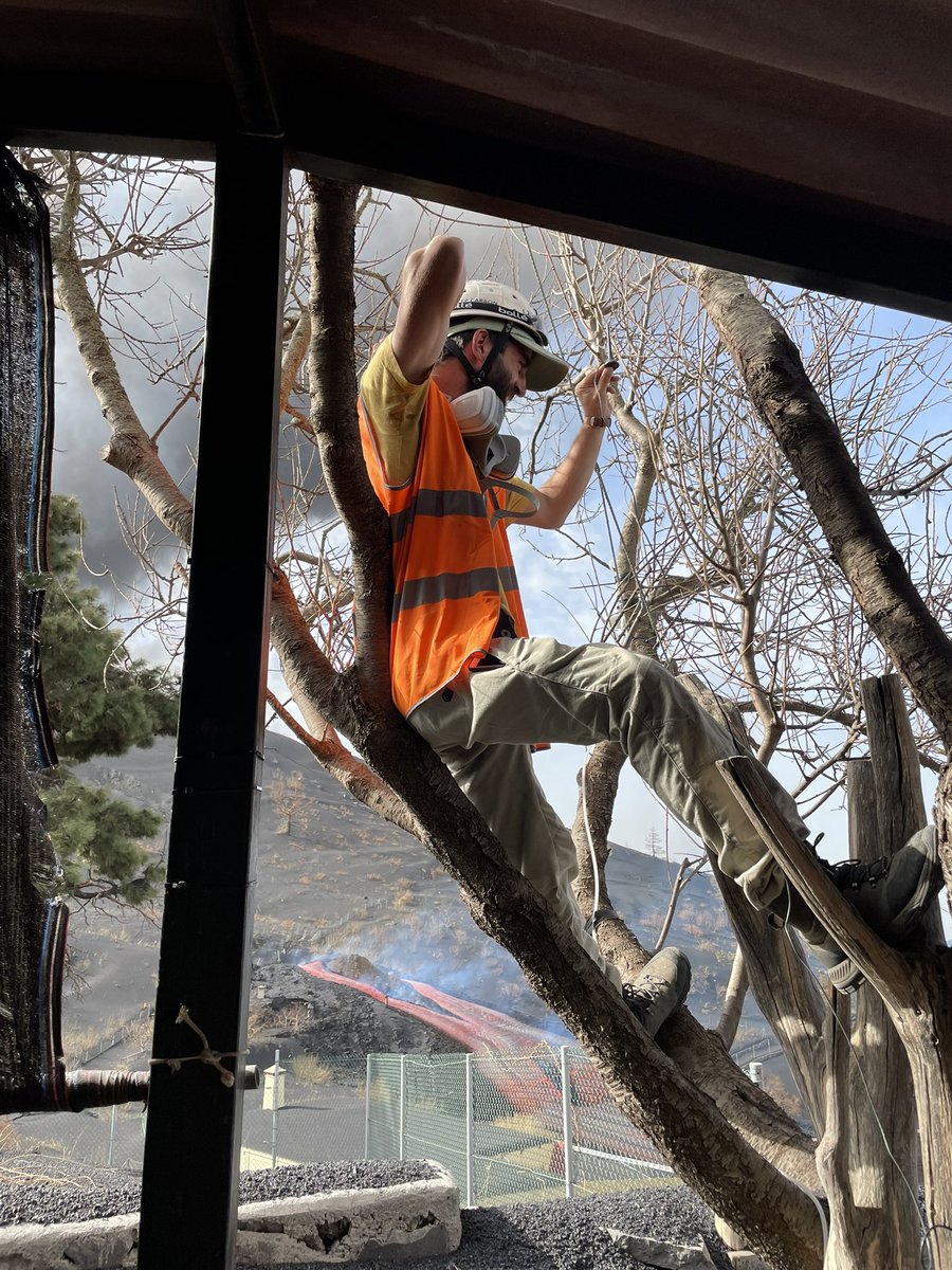 Sandro Aiuppa tweet media