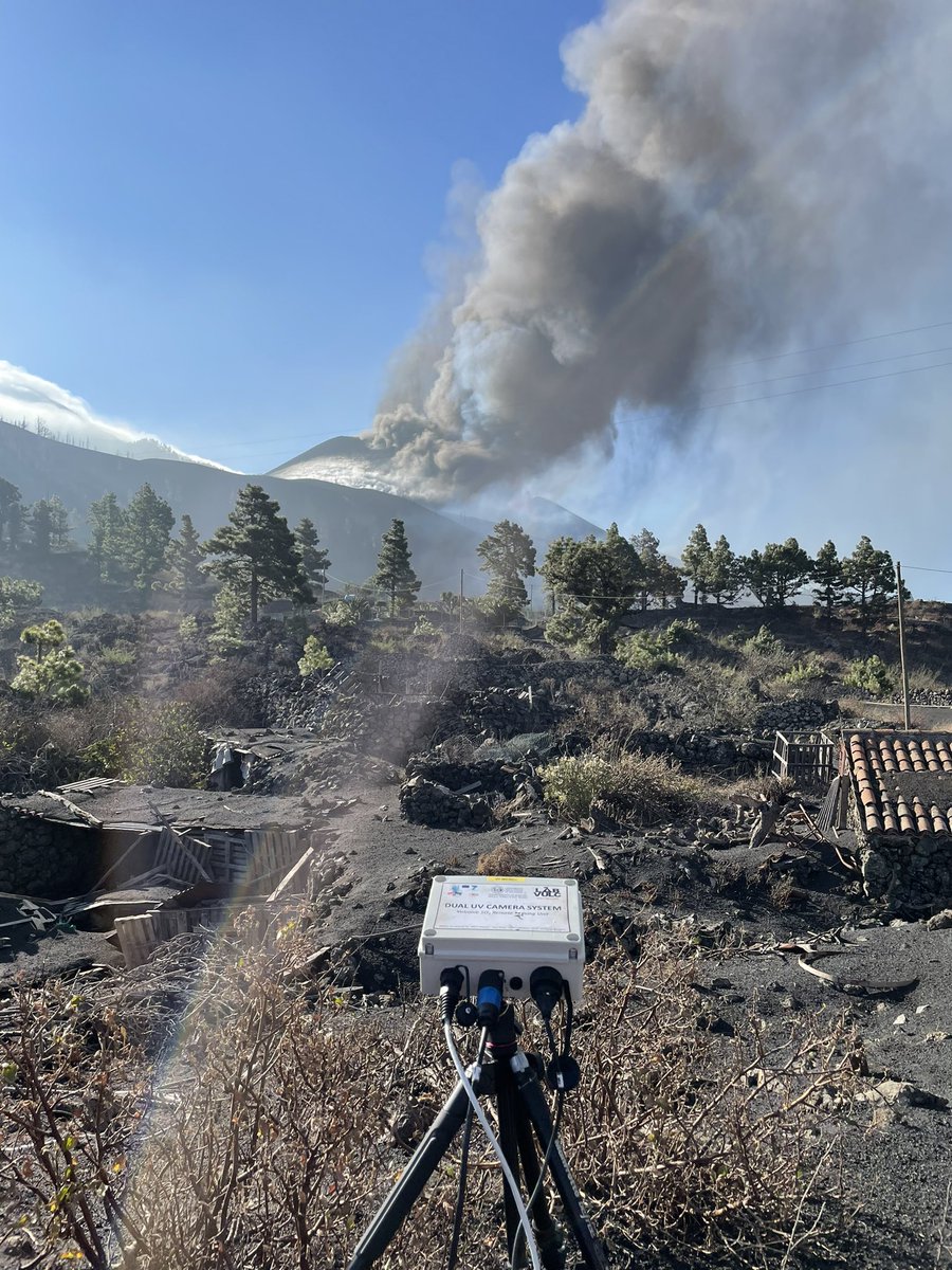 Sandro Aiuppa tweet media