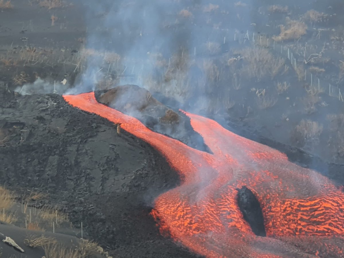 <a href="/unipa_it/">UniPa</a> contributes to great work made by <a href="/involcan/">INVOLCAN</a> in monitoring the #LaPalmaVolcano #eruption by performing #volcanic gas plume observations. With @joaopnlages and <a href="/marcellobitetto/">Marcello Bitetto</a> . We also fly #multigas in the plume with <a href="/EmmaLiu31/">Emma Nicholson (Liu)</a> <a href="/ES_UCL/">EarthSciences UCL</a> and <a href="/DrKieranWood/">Kieran Wood</a> <a href="/UOBFlightLab/">BristolFlightLab</a>