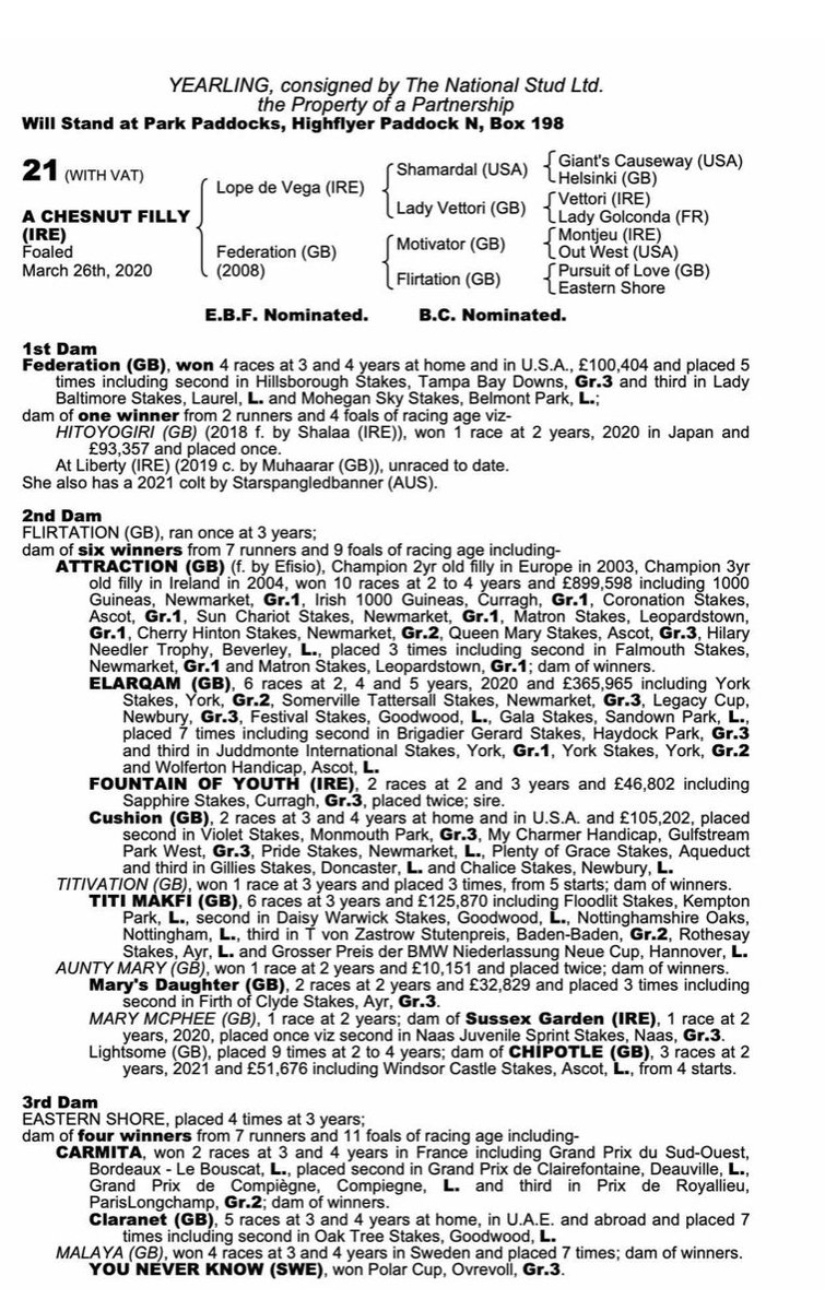 NatStudStallion's tweet photo. 🔥Lot 21 🔥

This stunning daughter of Leading Sire Lope De Vega sells @Tattersalls1766 Book 1 this week!

A daughter of the BT mare Federation &amp; from one of the most notable families around which includes Attraction, Elarqam, Fountain of Youth. 
Not to be missed in Highflyer N! https://t.co/j9fqvOGT3t