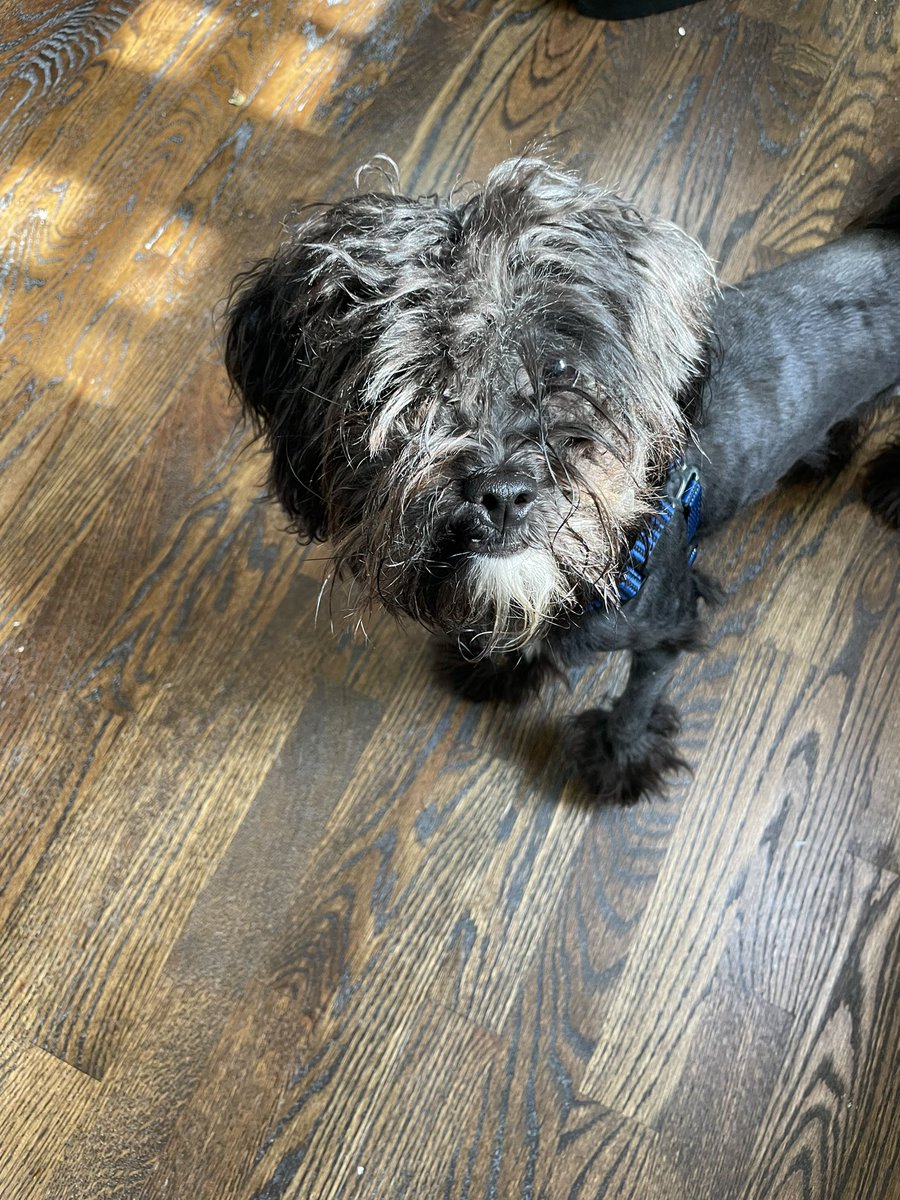 nina jacobson tweet media