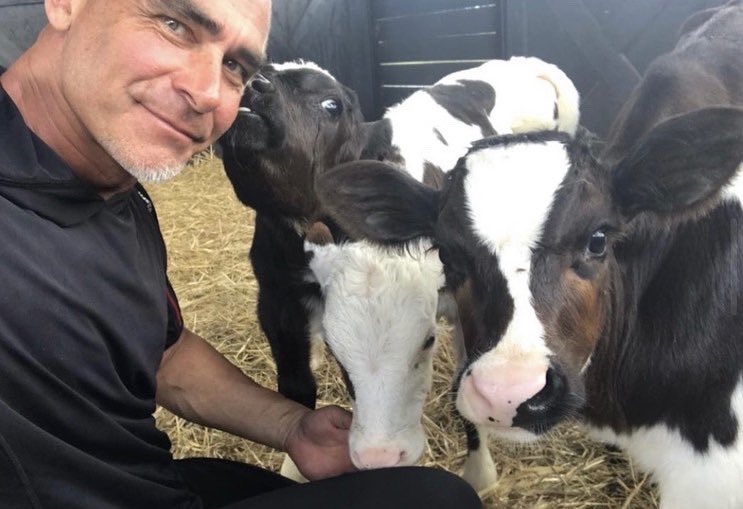 ARMInvestigatio's tweet photo. #worldfarmanimalsday โค๏ธ
When we look into their eyes, we see the same as you + I.. they are no different + deserve our protection + the best life.We will never stop fighting for their rights.
#farmanimals #protectfarmanimals #animalrecoverymissionsanctuary #animalrecoverymission https://t.co/PXrOgH2Oe2