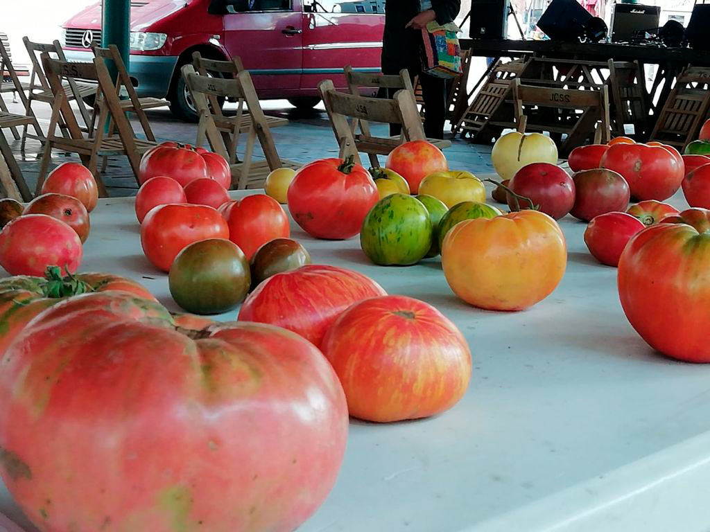 TomaLaPalabraVA's tweet photo. 🎸🍅 Música y agroecología en la III edición del #Ecorock que organizan #LaAlholva y @DeArgales.
@mariatuitea ha visitado la muestra de variedades autóctonas de tomates y la exposición que repasa las distintas iniciativas de la #EstrategiaAlimentaria @AlimentaVLL. https://t.co/TbBtGTeQ1s