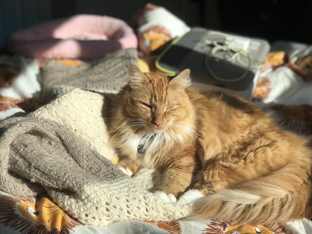 eedee_dear's tweet image. 