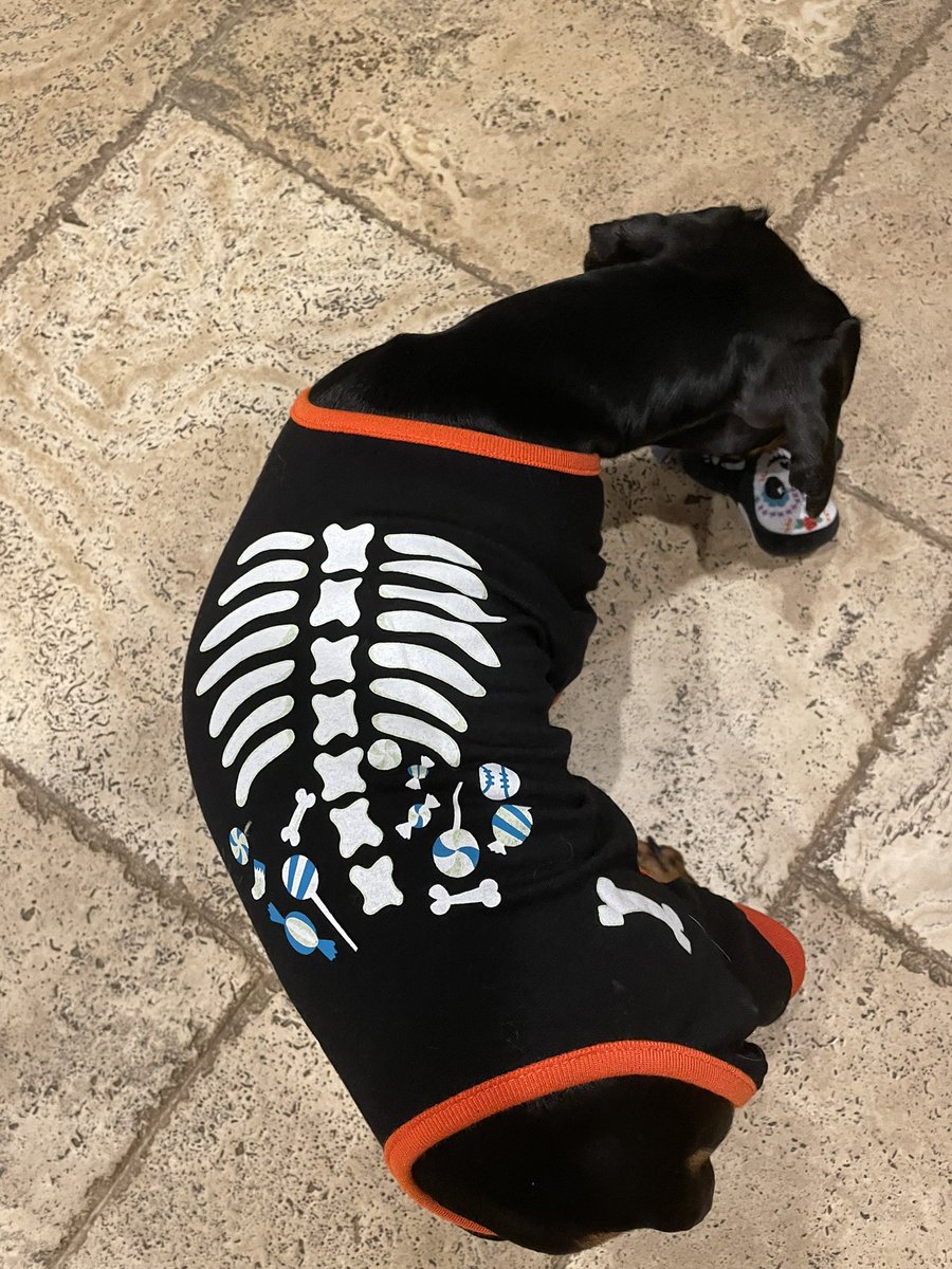 IrishThePen's tweet photo. Lil man is ready ๐๐พ๐ #LilMajor https://t.co/zfce5pLj1U