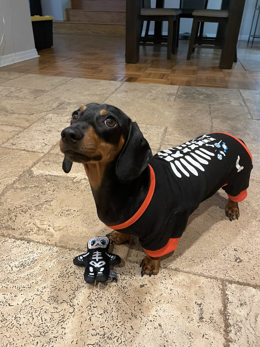 IrishThePen's tweet photo. Lil man is ready ๐๐พ๐ #LilMajor https://t.co/zfce5pLj1U