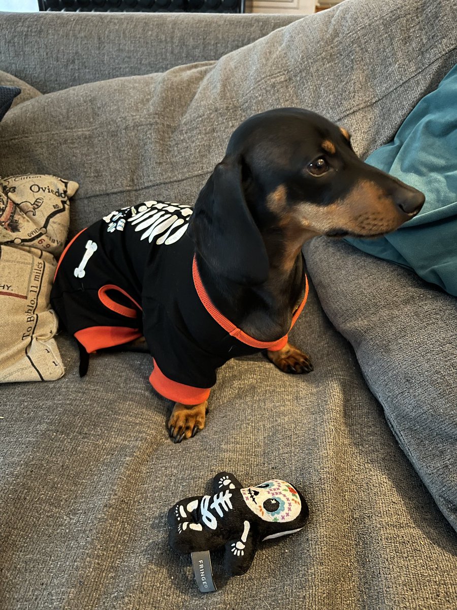 IrishThePen's tweet photo. Lil man is ready ๐๐พ๐ #LilMajor https://t.co/zfce5pLj1U