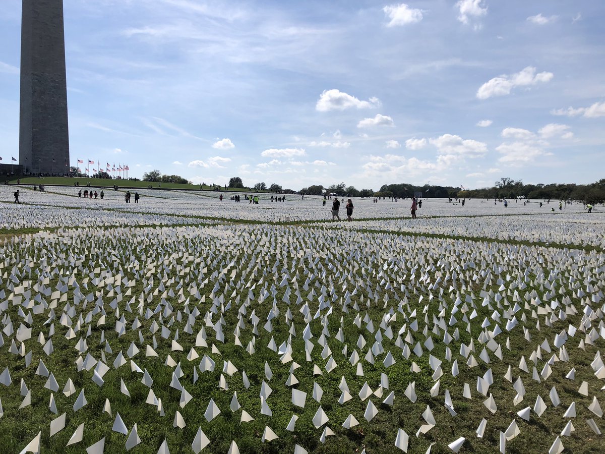 Matt Ford tweet media