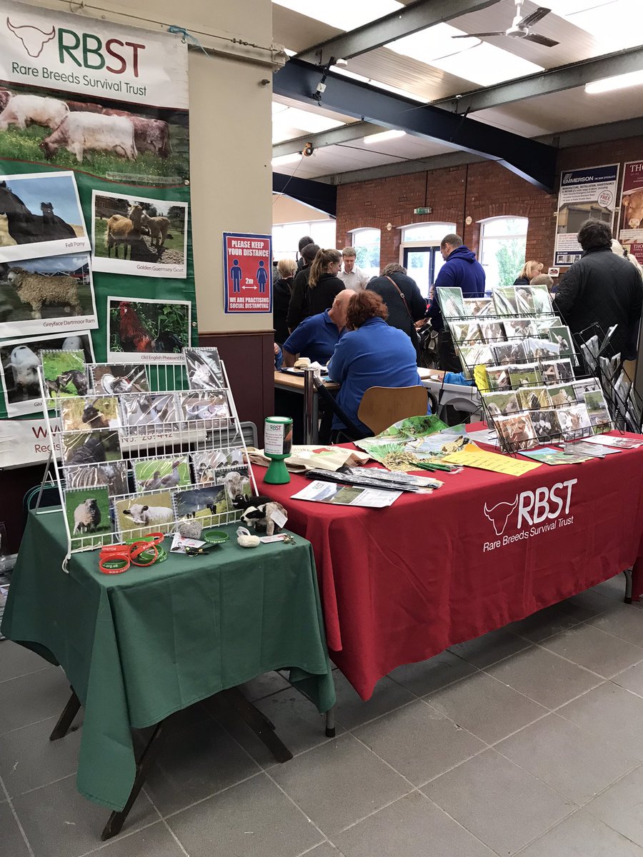 Great day <a href="/York_Auctions/">York Auction Centre</a> Rare breed sale , thank you for your support and well done to our volunteers for all your hard work stewarding 😍