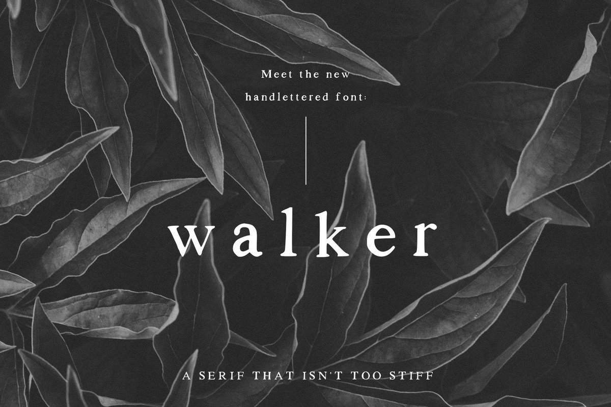DavidZydd's tweet photo. Walker: a Handlettered Serif https://t.co/tqWIK2kJkj  #sportstypeface #luxurious #watercolorfont #otf #woff #webopenfontformat #ttf #handletteredfont #lady #otf #style https://t.co/PskkjJVsML