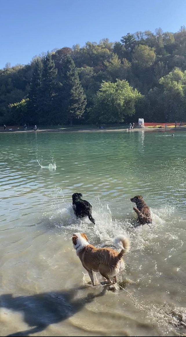 kargeezy's tweet photo. After missing a year because of Covid, Water Bark is back! #waterbark @CountyofSonoma https://t.co/jQPx2SNb6k