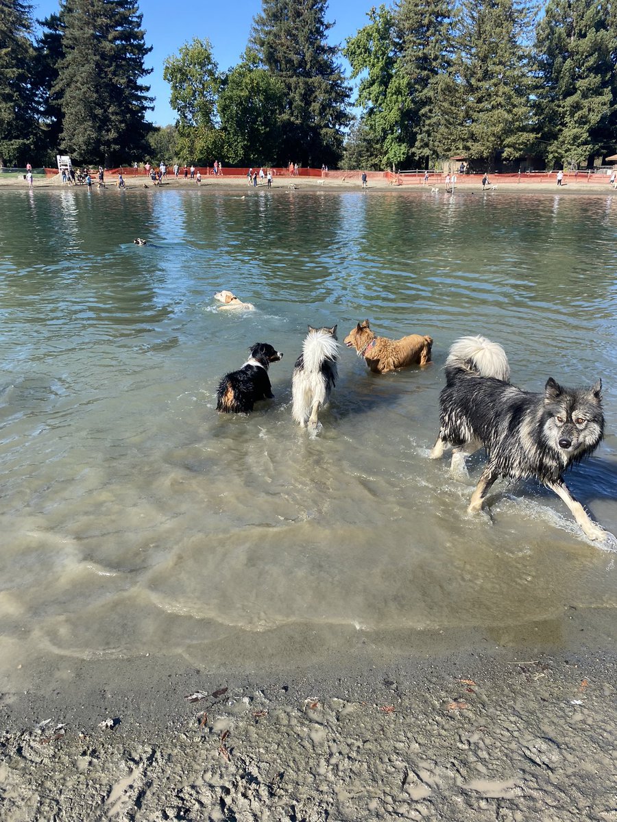 kargeezy's tweet photo. After missing a year because of Covid, Water Bark is back! #waterbark @CountyofSonoma https://t.co/jQPx2SNb6k