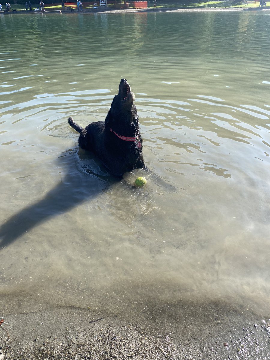 kargeezy's tweet photo. After missing a year because of Covid, Water Bark is back! #waterbark @CountyofSonoma https://t.co/jQPx2SNb6k
