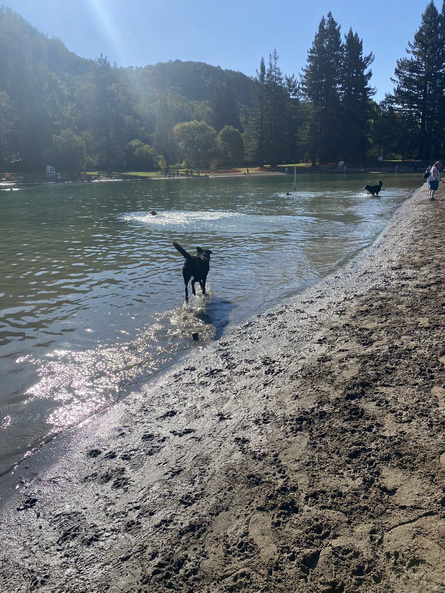 kargeezy's tweet photo. After missing a year because of Covid, Water Bark is back! #waterbark @CountyofSonoma https://t.co/jQPx2SNb6k